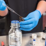 A researcher wears blue gloves as they use a droplet to extract and place oil in glass jars.