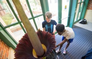 Guests seeing flower